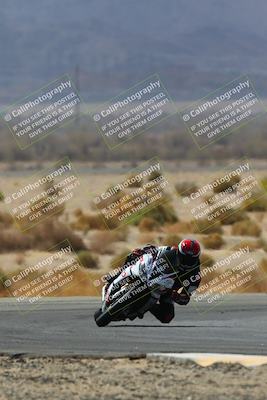 media/Apr-10-2022-SoCal Trackdays (Sun) [[f104b12566]]/Turn 5 Tree of Life (1040am)/